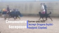 1 Кобели юниоры