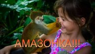 Амазонка!!! Экзотические животные,птицы,природа.