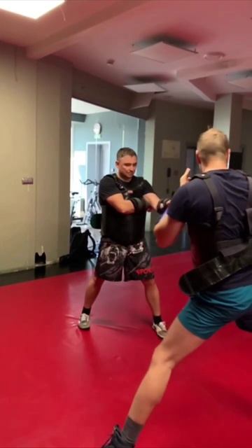 "Si vis pacem, para bellum"