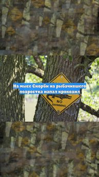 На мысе Скорби на рыбачившего подростка напал крокодил