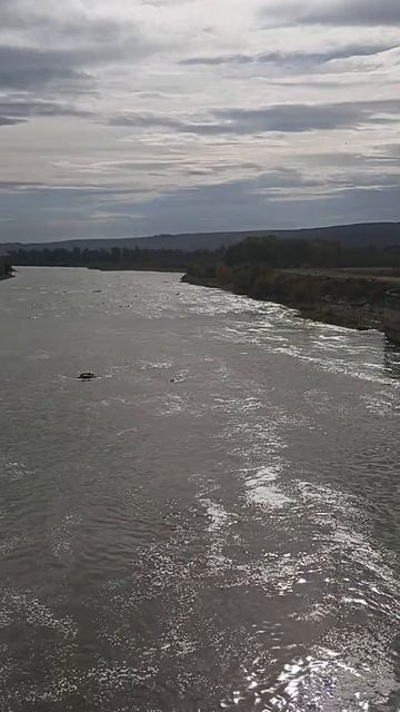 Река Мтквари (Кура) в Рустави (Грузия) 27.10.2025