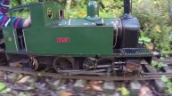 Peter's Railway, Autumn Steam Up with Sam 2018