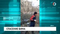 Спасение Бима