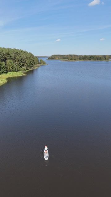 Вилли Улей Волга 09.2025