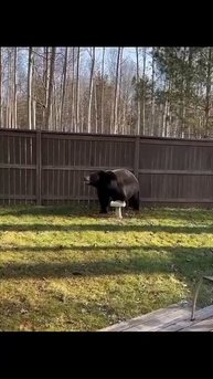 СРОЧНО ПОДПИШИСЬ 😉