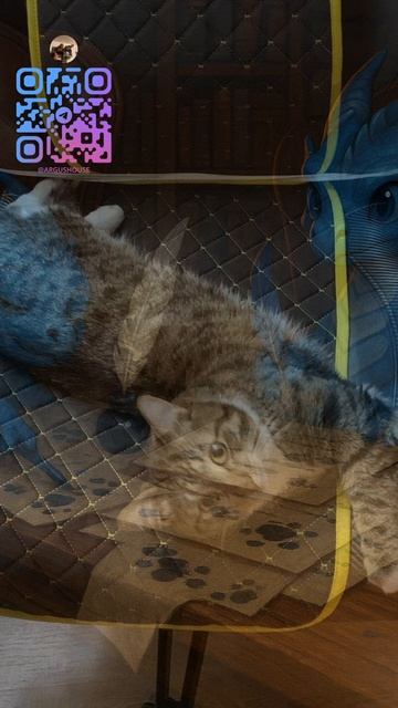 Хроники Драконов Аргуса №85