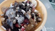 ✅перебрала, замочила, помыла, закатала, пожарила-грибы🍄