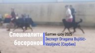 6 Суки, щенки