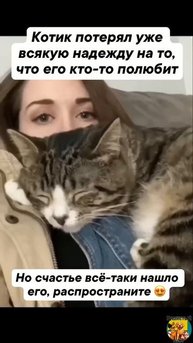 Клип @meowtaverse