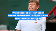 Губерниев: экономическая модель местечковых норвежских лыж вылетела в трубу