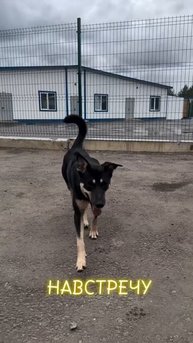 Здесь вы сможете найти своего друга!