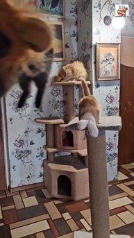 И пусть будет Бесконечен этот Добрый тихий Вечер 🌜❤️😻😻😻