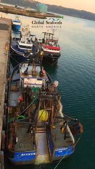 Trawlers rest quietly at the docks in Newport, Oregon — a brief pause after days at sea. ⚓️From cat