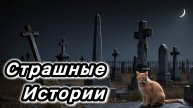 Возмездие. Новые страшные истории. Страшилка на ночь