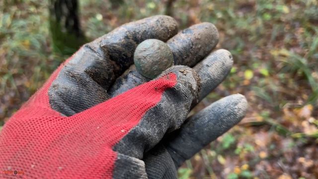 Лес подарил мне находки