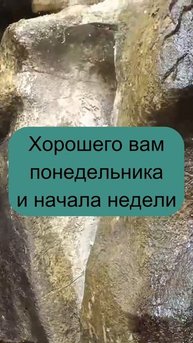Вы молодец. #прикол #путин #понедельник