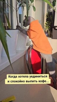 Покой нам только снится🫠