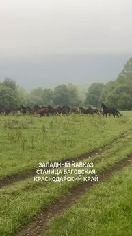 IMG_1146