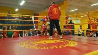 Кикбоксинг, Щёлково, Red Warrior, Данияр