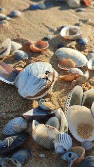 Азовское море.