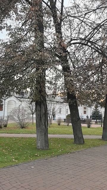 VID_20251026_164858.mp4