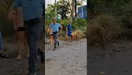 Агрессивный питбуль.