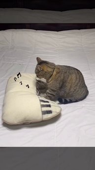 Ну просто талант