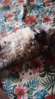 VID_20251022_163031.mp4