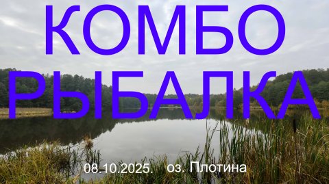 Комборыбалка. 08.10.2025. озеро Плотина. Рыбалка в Подмосковье.