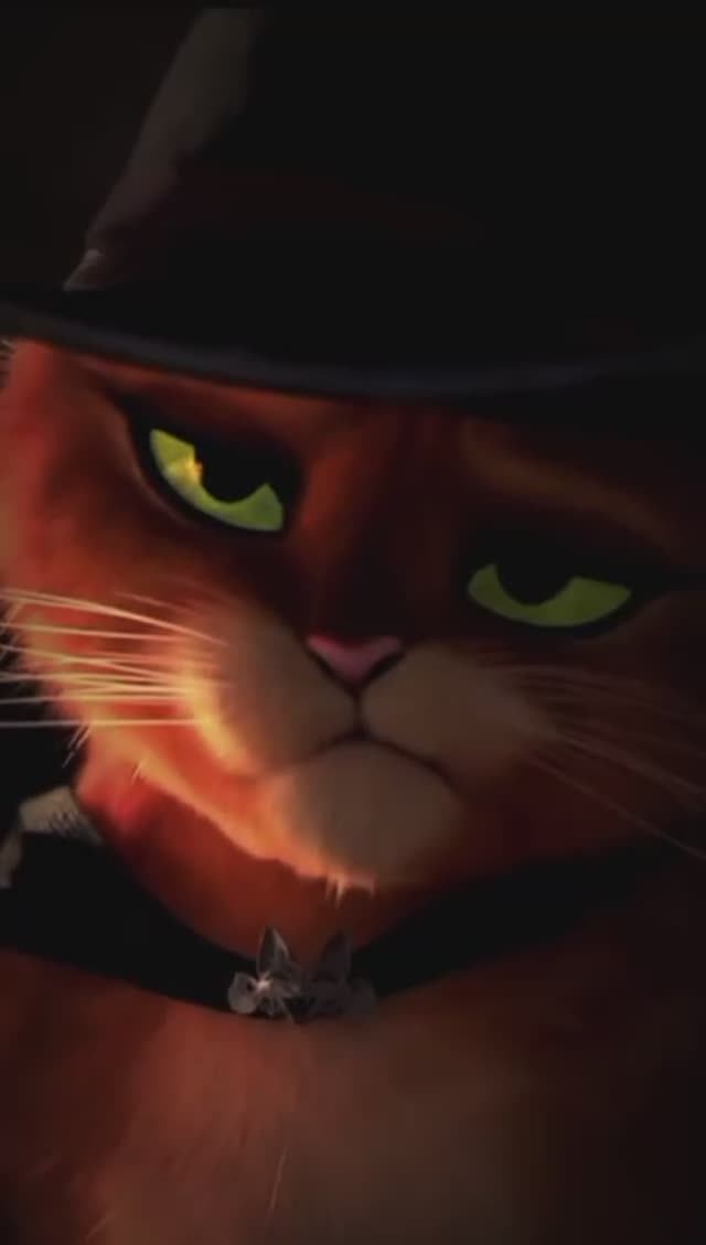 AHHHHH ESA MIRADA 🛐 #parati #foryou #foryoupage #elgatoconbotas2 #pussinboots2