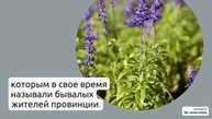 Фамилия Анискевич: исследование происхождения и истории, ознакомление с значением и правильным