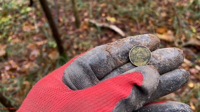 Нашел находки на старинной лесной дороге