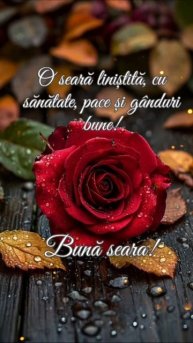 Așa să va fie seara 360 zile in an!!!❤️