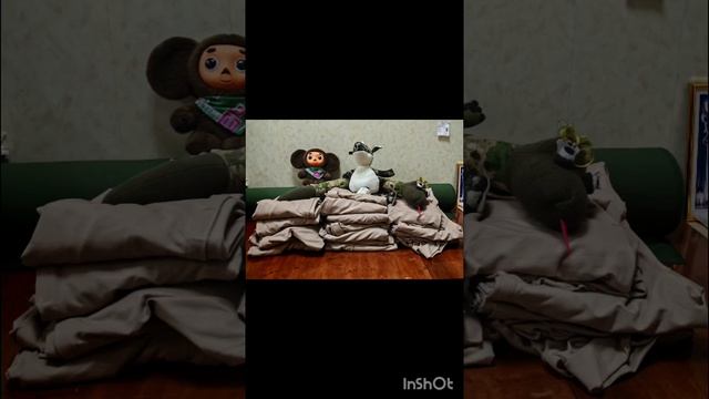 1000048954.mp4