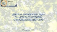 Шелковица в мариупольском Городском саду