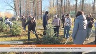 В Саранске мировые судьи высадили Аллею мировой юстиции
