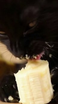 асмр котик ест банан