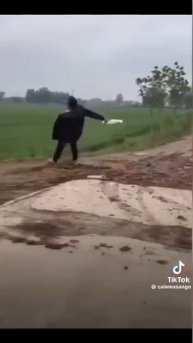 про обед