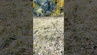 водопады часть 4