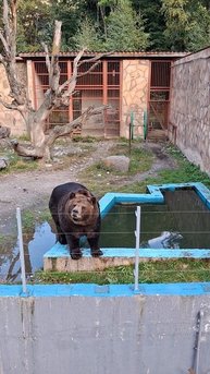 "Помаши ручкой)))"