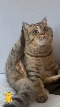 1000009070.mp4
