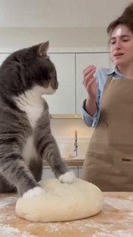 Не мешай месить тесто