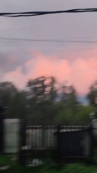 Сашуля 🪶