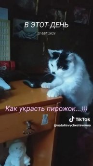 Украсть пирожок...)))