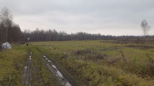 Поле, русское поле... Старенькая бабушка идет на дачу