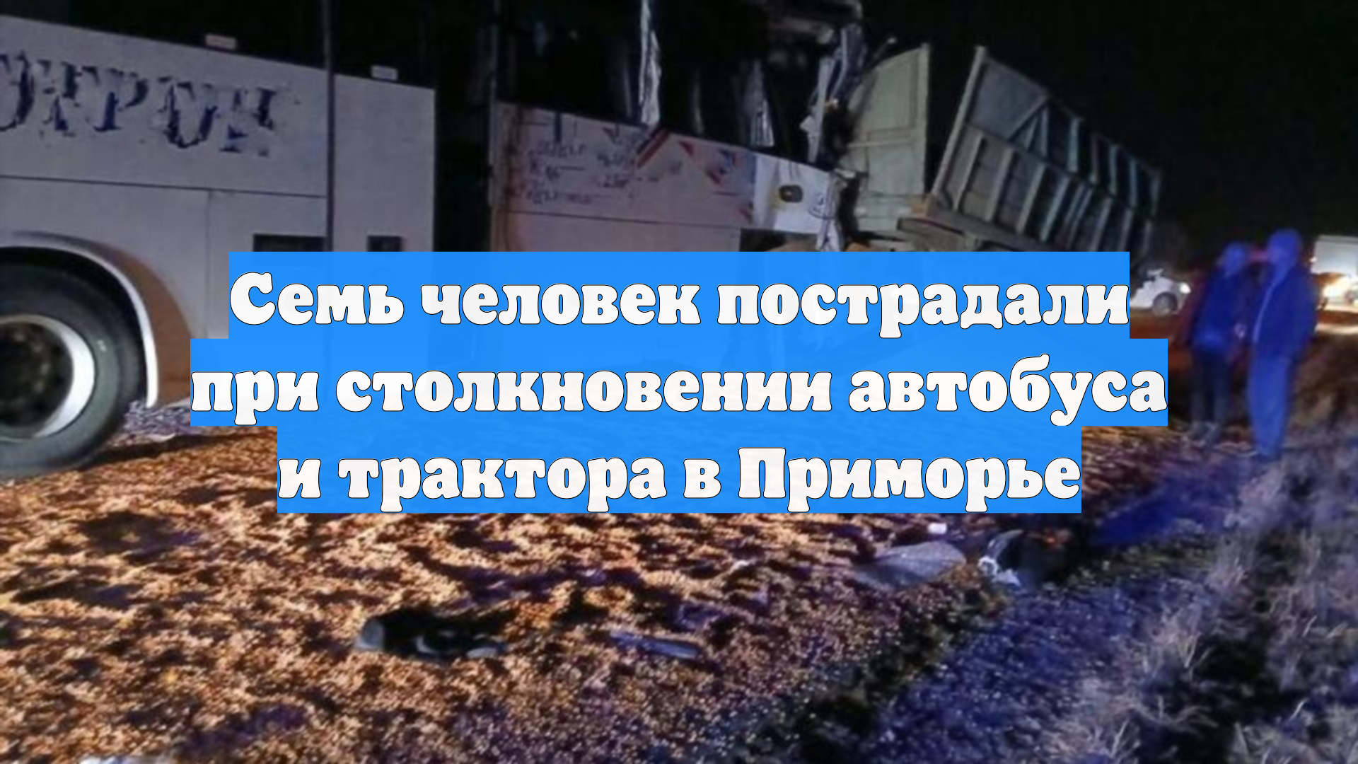 Семь человек пострадали при столкновении автобуса и трактора в Приморье