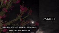 1000042346.mp4