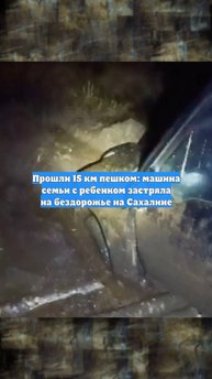 Прошли 15 км пешком: машина семьи с ребенком застряла на бездорожье на Сахалине