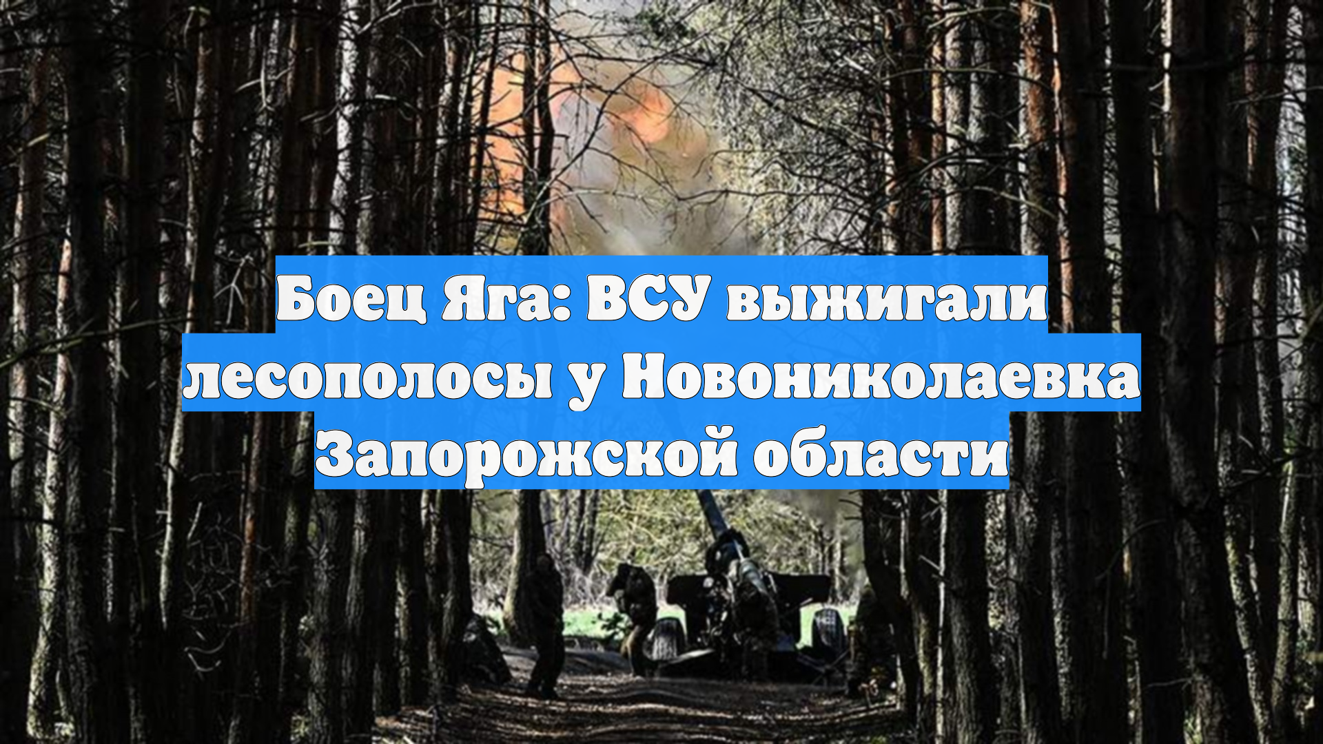 Боец Яга: ВСУ выжигали лесополосы у Новониколаевка Запорожской области