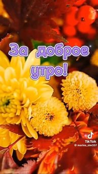 video_10387475076566.mp4